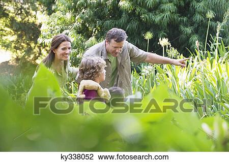 Two little children walking in a garden with their parents View Large Photo Image Stock Image - Two little children walking in a garden with their parents. Fotosearch