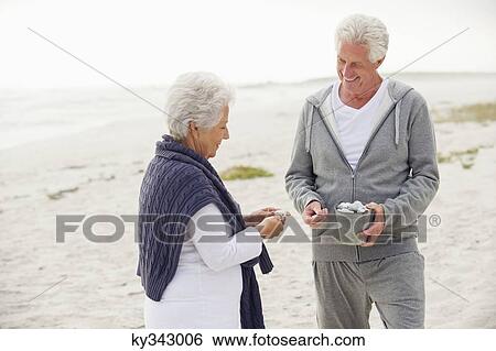 Senior couple collecting shell on the beach View Large Photo Image Stock Photograph - Senior couple collecting shell on the beach. Fotosearch