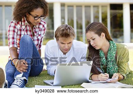Friends studying in a campus View Large Photo Image Stock Photo - Friends studying in a campus. Fotosearch