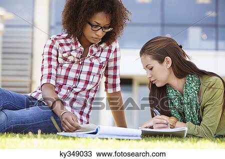 Two female friends studying in a campus View Large Photo Image Stock Image - Two female friends studying in a campus. Fotosearch