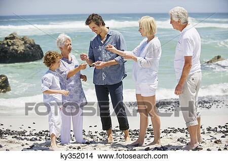 Multi generation family collecting shell on the beach View Large Photo Image Picture - Multi generation family collecting shell on the beach. Fotosearch