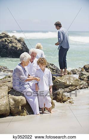 Multi generation family collecting shell on the beach View Large Photo Image Stock Image - Multi generation family collecting shell on the beach. Fotosearch