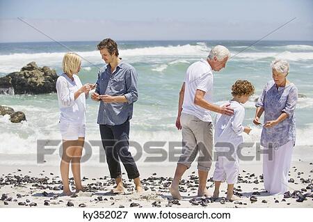 Multi generation family collecting shell on the beach View Large Photo Image Stock Photo - Multi generation family collecting shell on the beach. Fotosearch
