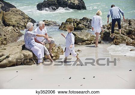 Multi generation family collecting shell on the beach View Large Photo Image Stock Photograph - Multi generation family collecting shell on the beach. Fotosearch