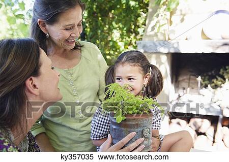 Multi generation family smelling a potted plant View Large Photo Image Stock Photography - Multi generation family smelling a potted plant. Fotosearch