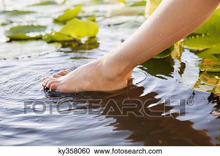 Close-up of a woman's leg in pond View Large Photo Image Stock Image - Close-up of a woman's leg in pond. Fotosearch