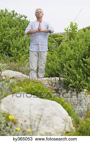 Senior man meditating in a garden View Large Photo Image Stock Image - Senior man meditating in a garden. Fotosearch