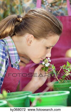 Girl smelling a flower in a garden View Large Photo Image Stock Image - Girl smelling a flower in a garden. Fotosearch