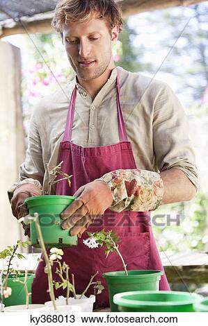 Man gardening and smiling View Large Photo Image Stock Image - Man gardening and smiling. Fotosearch