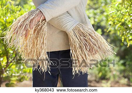 Mid section view of a man as scarecrow View Large Photo Image Stock Image - Mid section view of a man as scarecrow. Fotosearch