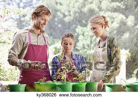 Parents and daughter gardening View Large Photo Image Stock Photograph - Parents and daughter gardening. Fotosearch