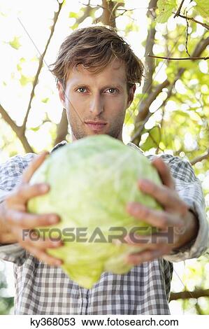 Portrait of a man holding a cabbage View Large Photo Image Stock Image - Portrait of a man holding a cabbage. Fotosearch