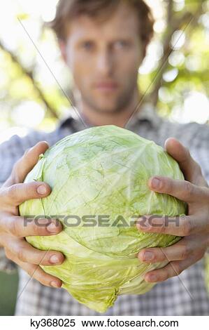 Portrait of a man holding a cabbage View Large Photo Image Stock Photography - Portrait of a man holding a cabbage. Fotosearch