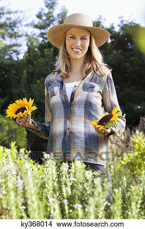 Portrait of a young woman holding sunflowers in a field View Large Photo Image Picture - Portrait of a young woman holding sunflowers in a field. Fotosearch