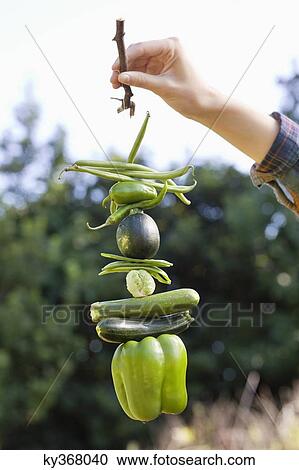 Woman's hand holding vegetables hanging on twig View Large Photo Image Stock Image - Woman's hand holding vegetables hanging on twig. Fotosearch