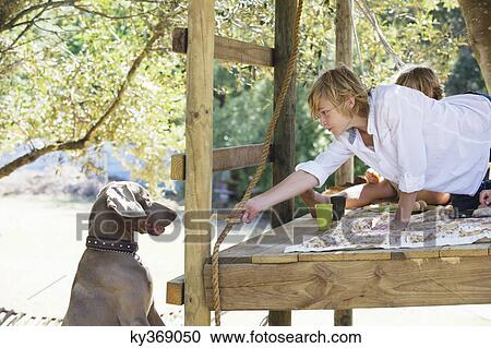 Boy feeding a dog from tree house View Large Photo Image Stock Image - Boy feeding a dog from tree house. Fotosearch