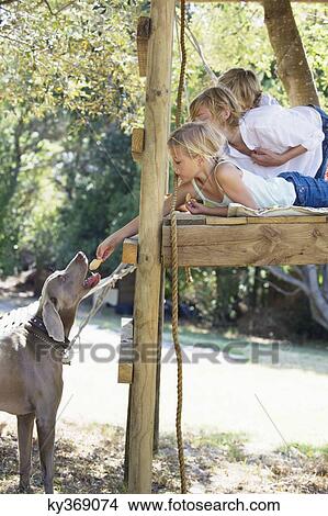 Children feeding a dog from tree house View Large Photo Image Picture - Children feeding a dog from tree house. Fotosearch