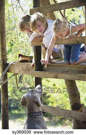 Children feeding a dog from tree house View Large Photo Image Stock Photo - Children feeding a dog from tree house. Fotosearch
