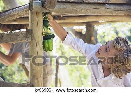 Children in a tree house View Large Photo Image Stock Photo - Children in a tree house. Fotosearch
