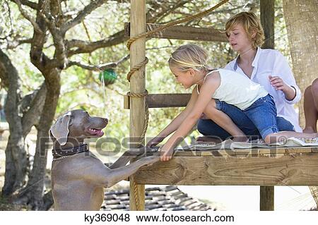 Children playing with a dog in tree house View Large Photo Image Stock Photo - Children playing with a dog in tree house. Fotosearch