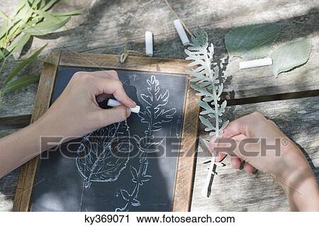 Stock Image - Little boy making drawing of leaves on slate outdoors. Fotosearch