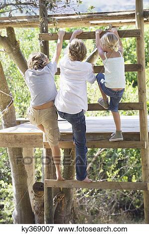 Rear view of children climbing ladders to tree house View Large Photo Image Stock Photo - Rear view of children climbing ladders to tree house. Fotosearch