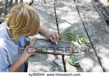 Side profile of a little boy making drawing of leaf on slate outdoors View Large Photo Image Picture - Side profile of a little boy making drawing of leaf on slate outdoors. Fotosearch