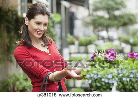 Close-up of a woman looking at flowers in a flower shop View Large Photo Image Stock Photo - Close-up of a woman looking at flowers in a flower shop. Fotosearch
