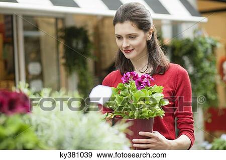 Woman holding a potted plant in a flower shop View Large Photo Image Stock Photo - Woman holding a potted plant in a flower shop. Fotosearch