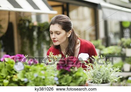 Woman smelling flowers in a flower shop View Large Photo Image Stock Photograph - Woman smelling flowers in a flower shop. Fotosearch