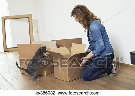 Woman looking at her cat standing on hind legs View Large Photo Image Stock Image - Woman looking at her cat standing on hind legs. Fotosearch
