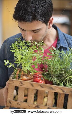 Man carrying fresh vegetables in a crate View Large Photo Image Stock Photo - Man carrying fresh vegetables in a crate. Fotosearch