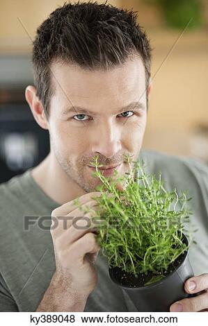 Man smelling thyme plant View Large Photo Image Stock Photo - Man smelling thyme plant. Fotosearch