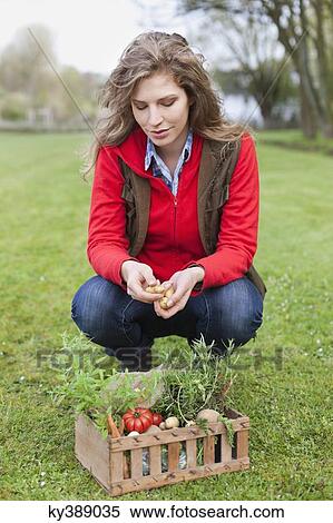 Stock Photography - Woman putting vegetables in a crate. Fotosearch
