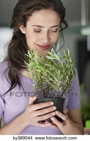 Woman smelling a rosemary plant View Large Photo Image Picture - Woman smelling a rosemary plant. Fotosearch