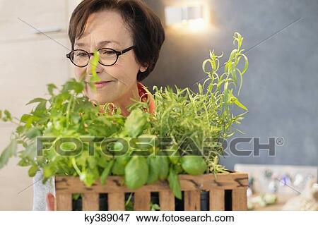 Woman smelling plants View Large Photo Image Stock Photo - Woman smelling plants. Fotosearch
