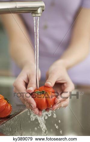 Woman washing tomatoes in the kitchen View Large Photo Image Stock Photo - Woman washing tomatoes in the kitchen. Fotosearch