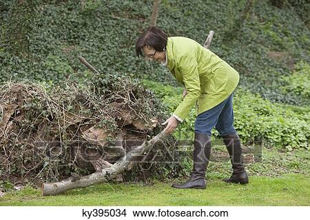 Woman cleaning her garden View Large Photo Image Picture - Woman cleaning her garden. Fotosearch