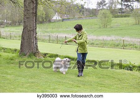 Woman playing with her dog View Large Photo Image Stock Image - Woman playing with her dog. Fotosearch