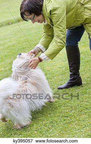Woman playing with her dog View Large Photo Image Stock Photo - Woman playing with her dog. Fotosearch