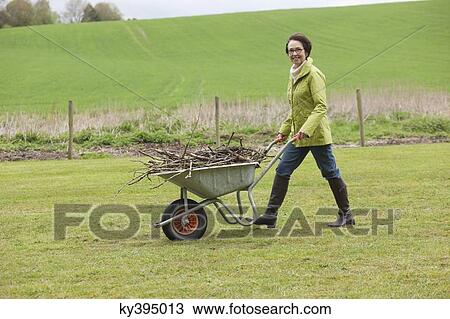 Woman pushing a wheelbarrow full of branches View Large Photo Image Stock Image - Woman pushing a wheelbarrow full of branches. Fotosearch