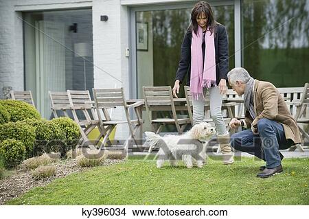 Couple playing with their pets in a garden View Large Photo Image Picture - Couple playing with their pets in a garden. Fotosearch