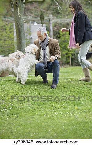 Couple playing with their pets in a garden View Large Photo Image Stock Photograph - Couple playing with their pets in a garden. Fotosearch