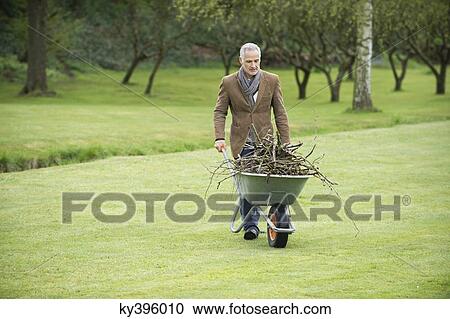 Stock Image - Man collecting firewood in a park. Fotosearch