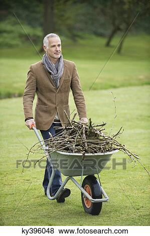 Man collecting firewood in a park View Large Photo Image Stock Photo - Man collecting firewood in a park. Fotosearch
