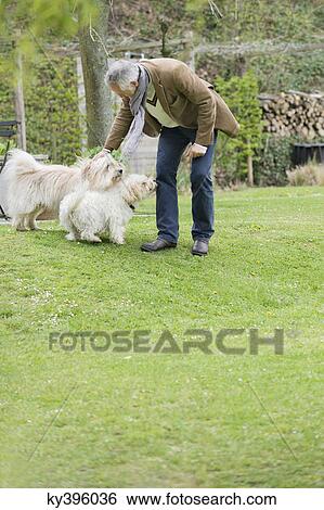 Stock Photograph - Man playing with his pets in a garden. Fotosearch