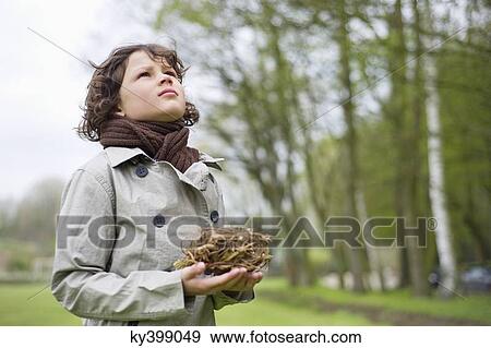 Close-up of a boy holding a bird's nest in a park View Large Photo Image Stock Photo - Close-up of a boy holding a bird's nest in a park. Fotosearch