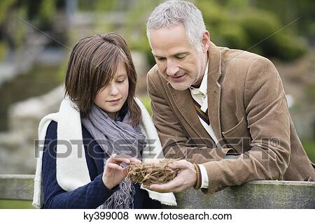 Man with his daughter holding a bird's nest in a park View Large Photo Image Stock Photo - Man with his daughter holding a bird's nest in a park. Fotosearch