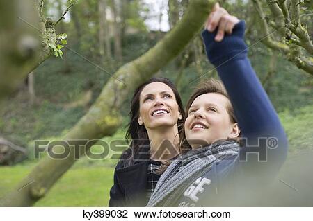Woman with her daughter looking at a tree branch in an orchard View Large Photo Image Stock Image - Woman with her daughter looking at a tree branch in an orchard. Fotosearch