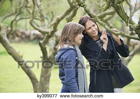 Woman with her daughter looking at a tree branch in an orchard View Large Photo Image Stock Photo - Woman with her daughter looking at a tree branch in an orchard. Fotosearch